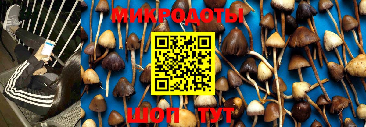 Псилоцибиновые грибы Psilocybine cubensis  Галлюциногенные грибы прущие грибы  Вход с VPN  Выкса 